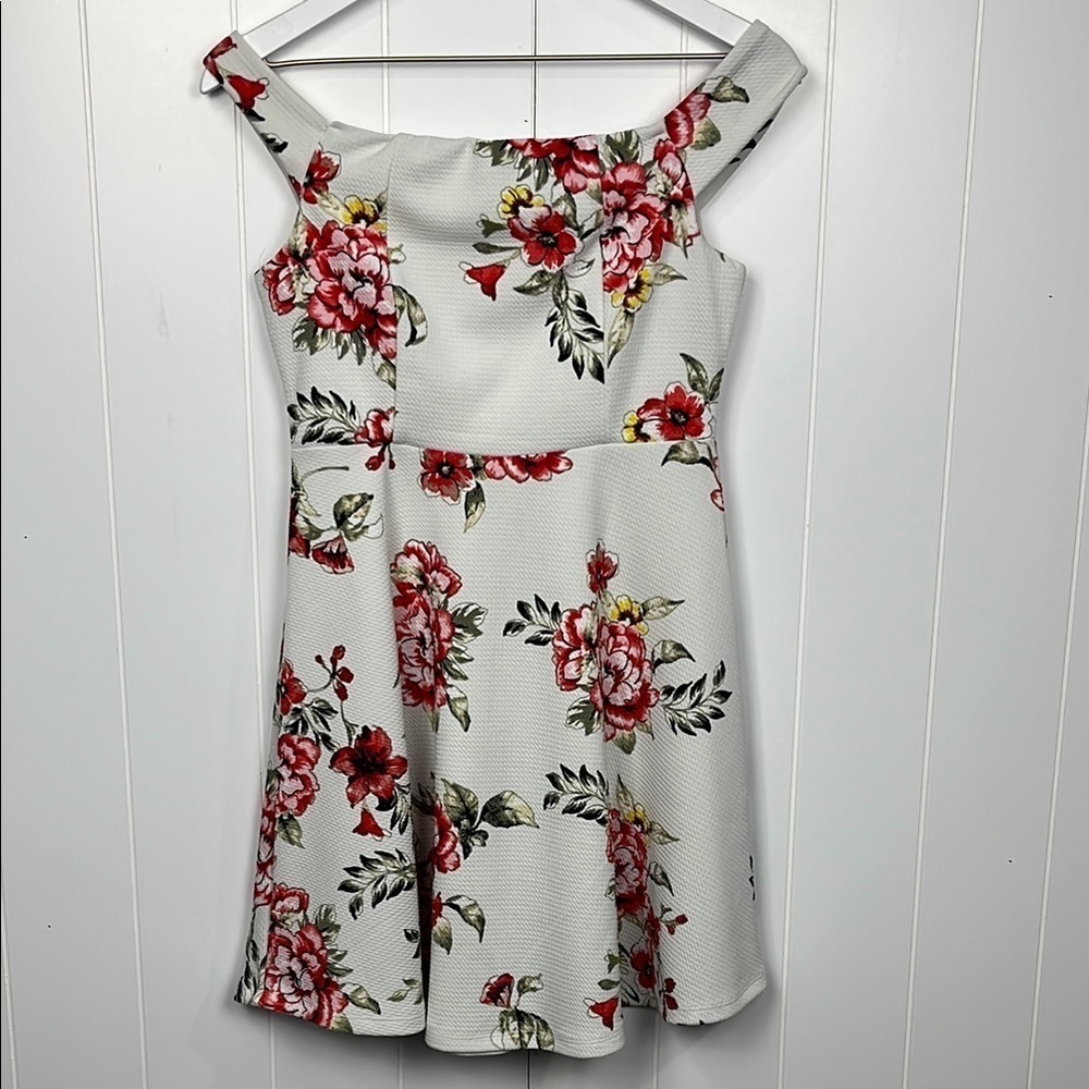 Love J Womens Skater Dress S White/Red Floral Print Sleeveless Fit & Flare Swing